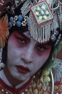 Farewell My Concubine